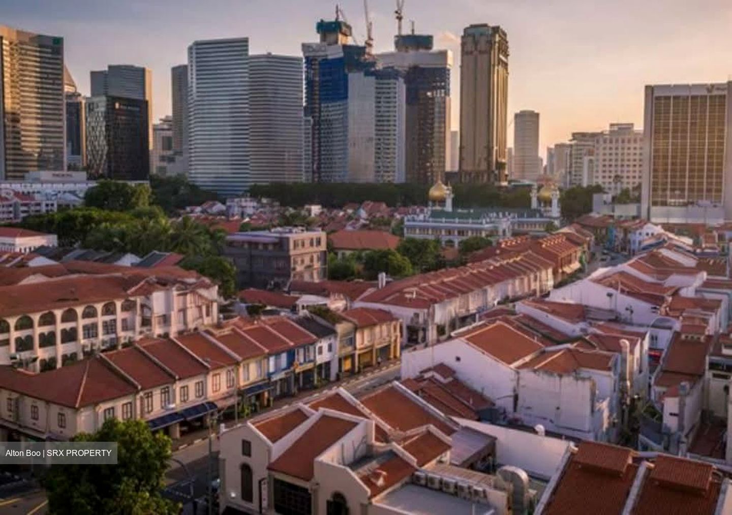 Balestier 288 (D12), Shop House #585475391